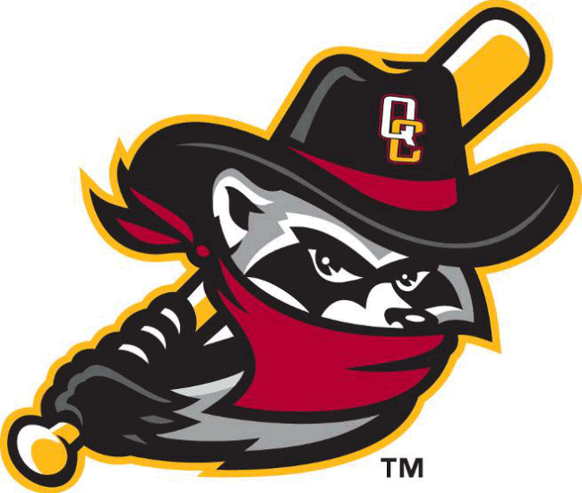 Quad Cities River Bandits 2014-Pres Alternate Logo diy iron on transfers for clothing